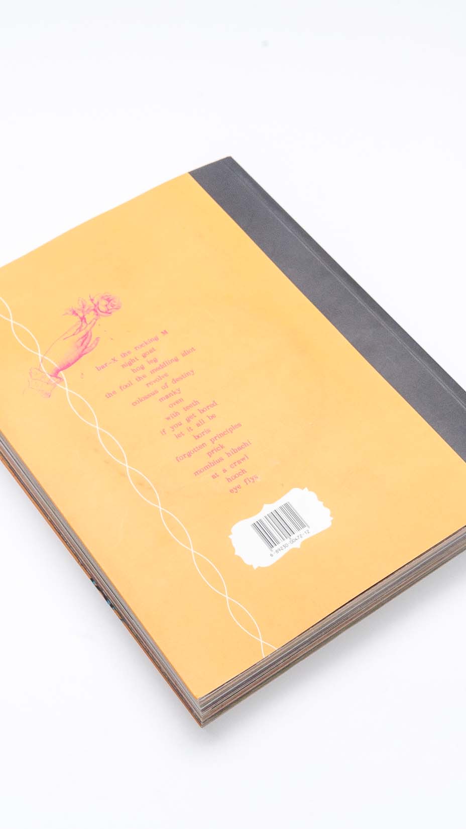 Melvins, Neither Here Nor There, Book and CD