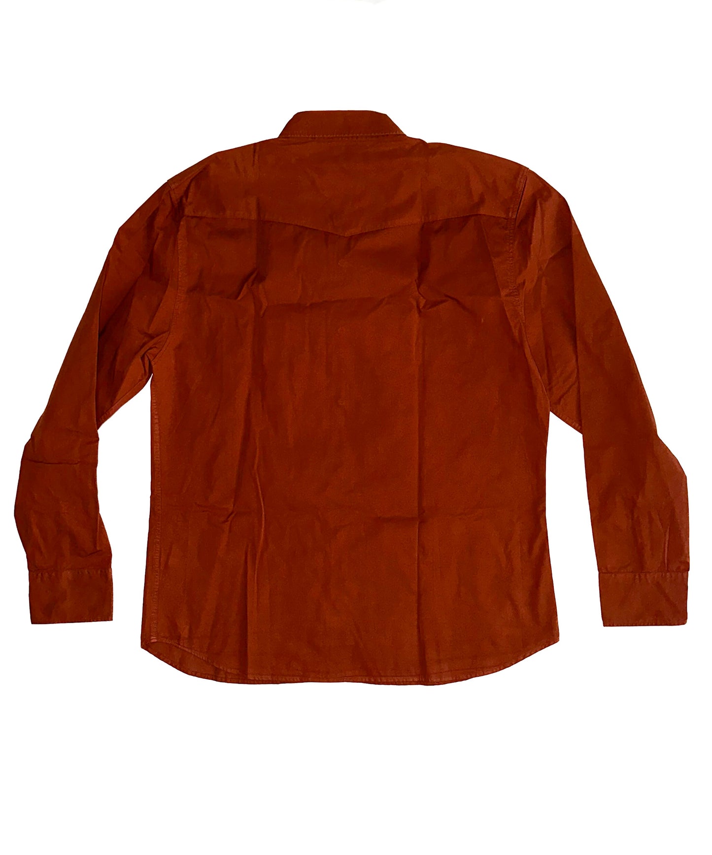 Indigofera, Dollard Shirt, Orange
