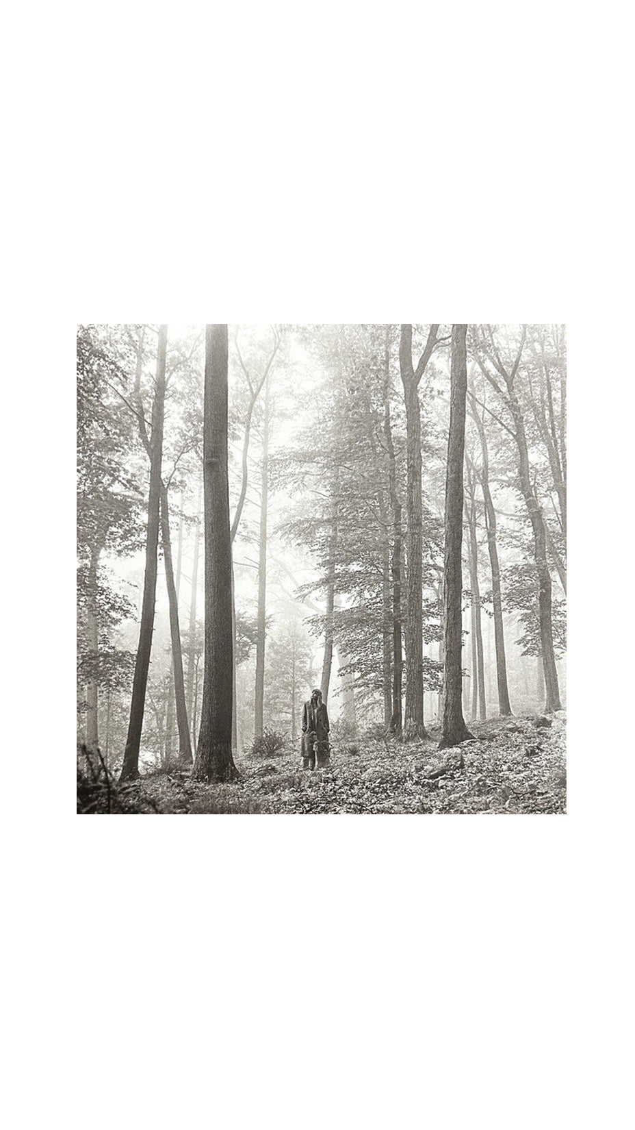 Taylor Swift, Folklore, LP