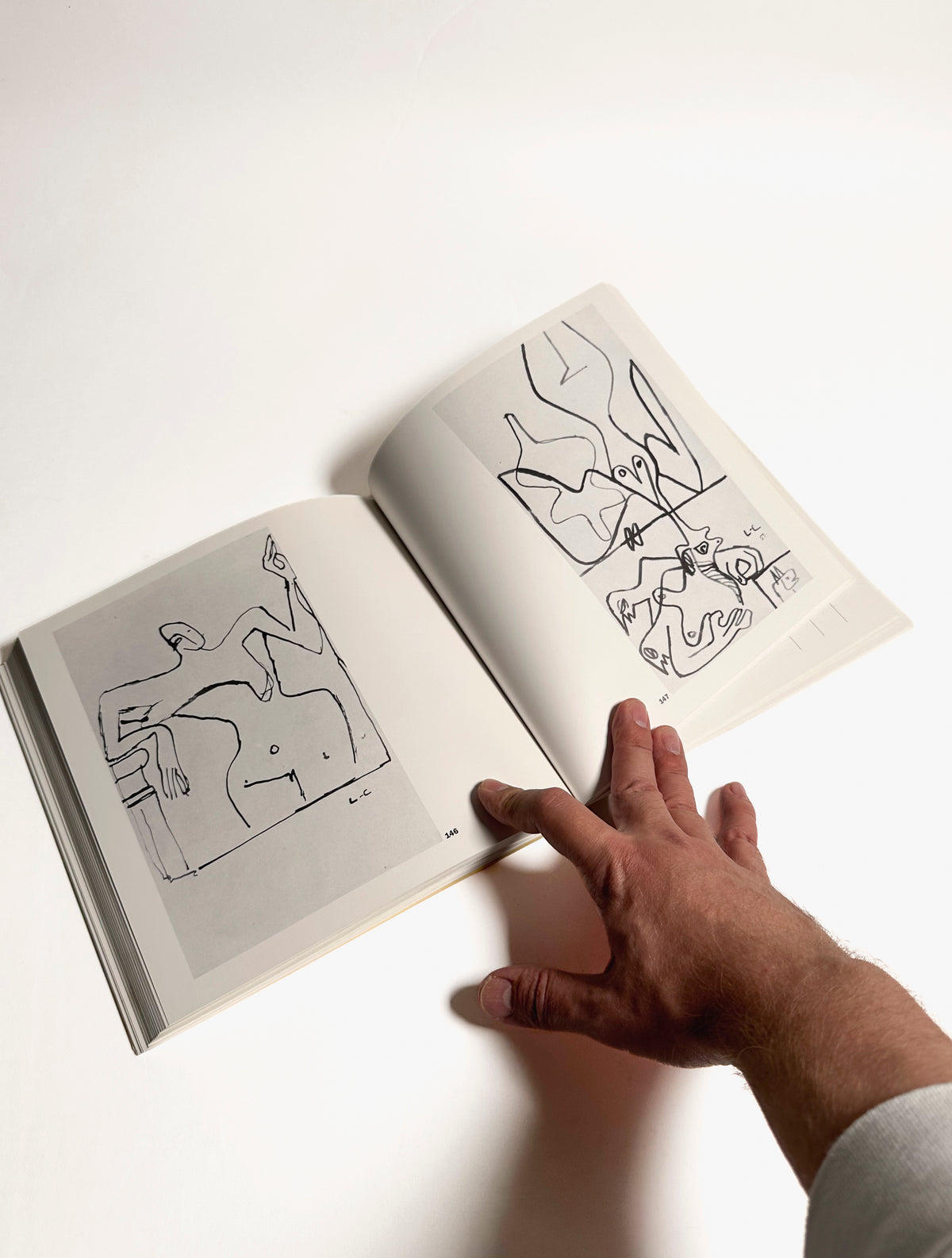 Le Corbusier, Secret, Book