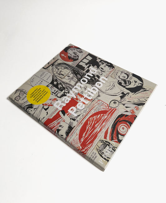 Raymond Pettibon, Phaidon book