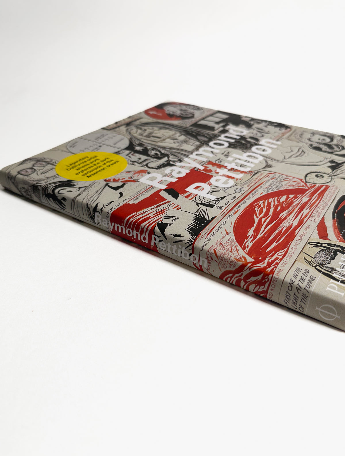 Raymond Pettibon, Phaidon book