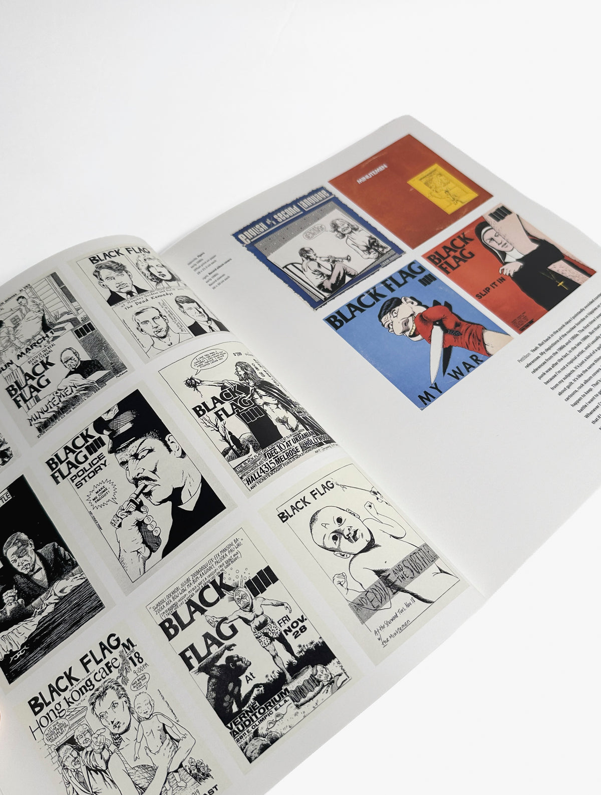 Raymond Pettibon, Phaidon book