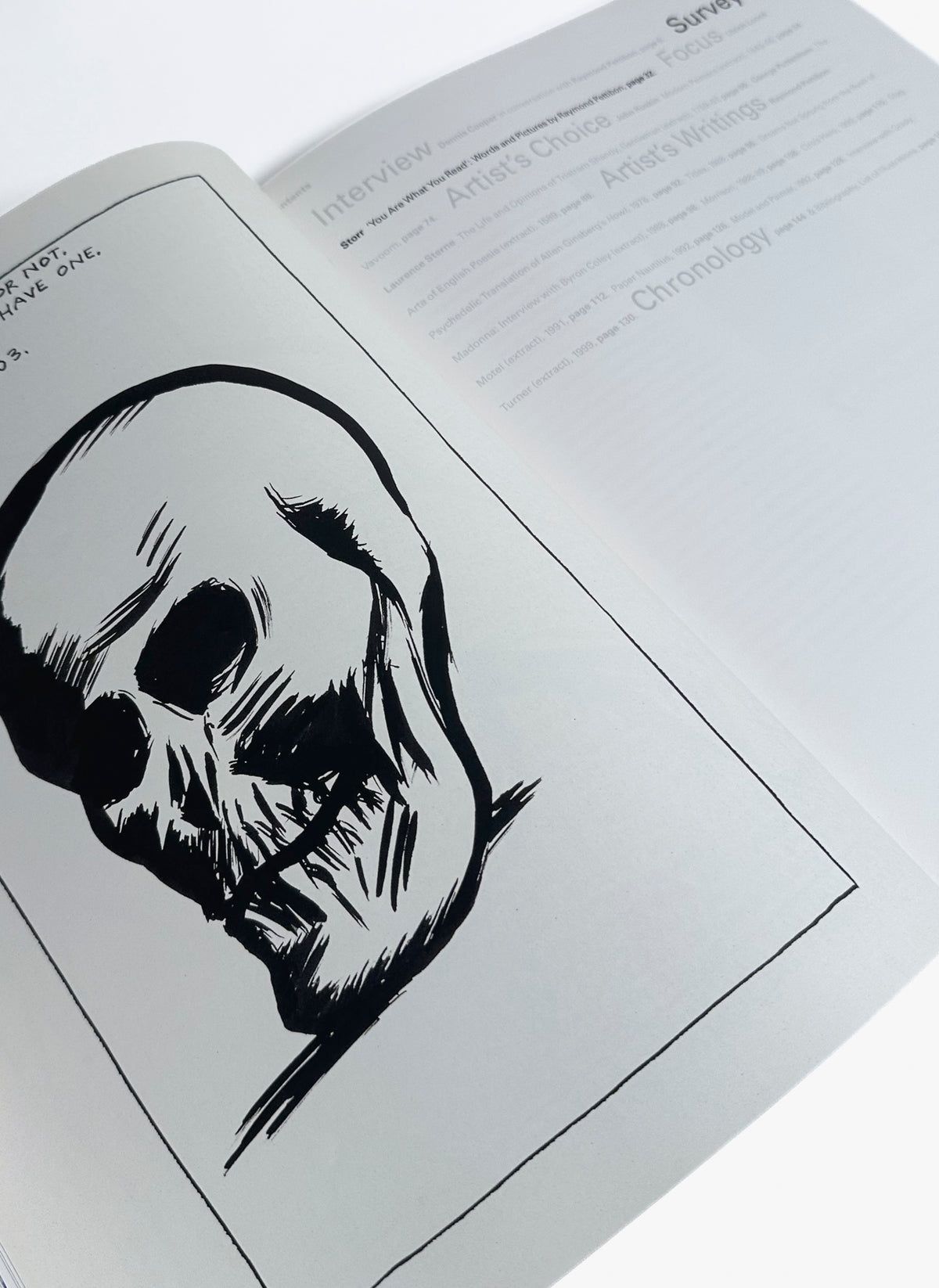 Raymond Pettibon, Phaidon book