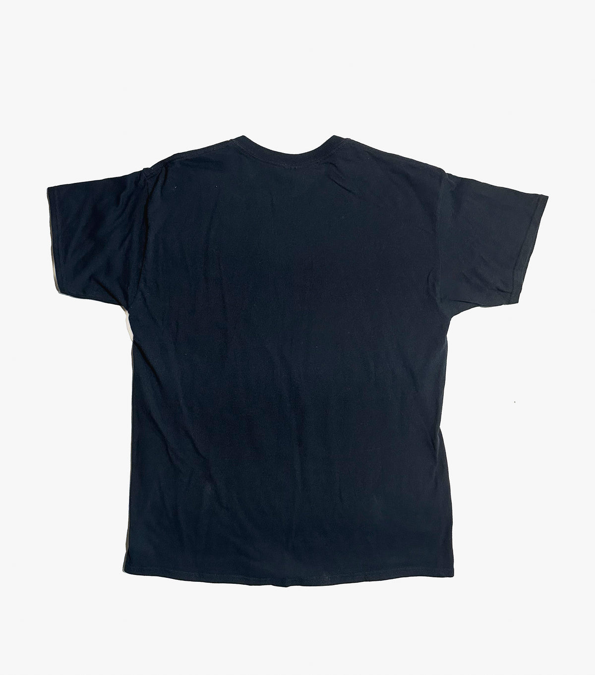 Terror ”Good Die Young” 2013年 — 限定版Tシャツ、Lサイズ